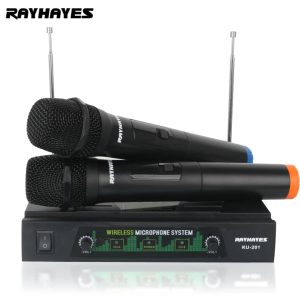Two Channels wireless microphone